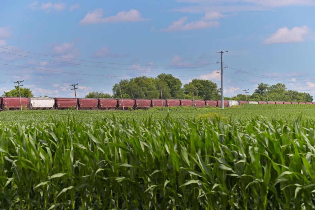 Us Rail Fuel Surcharges On Grain Hit Record Highs, Squeezing Farmers In Harvest Season