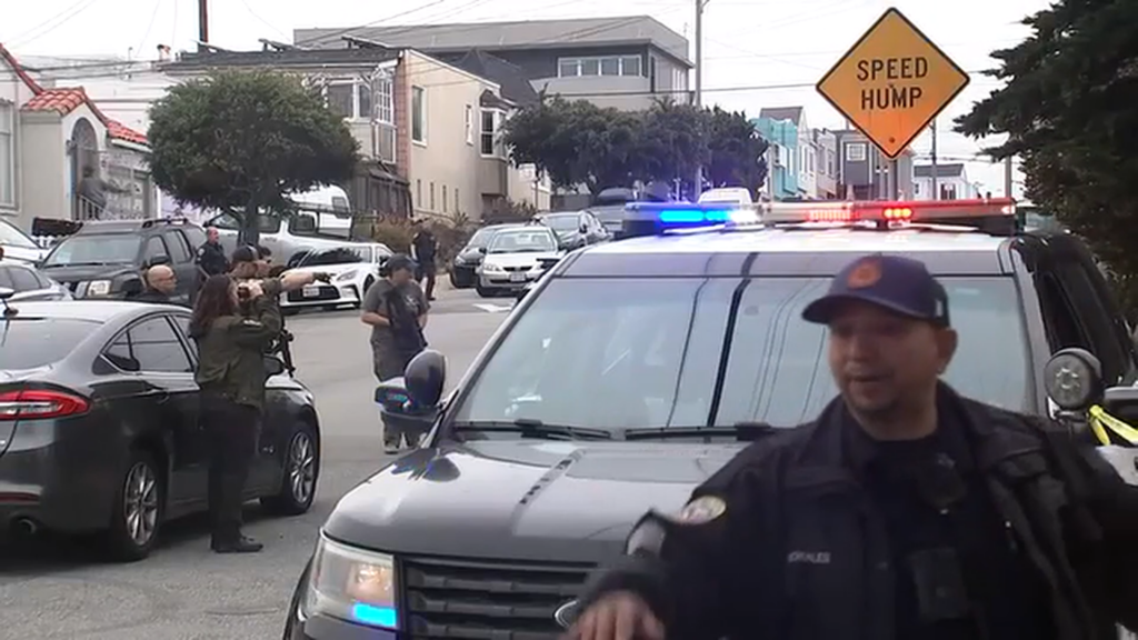 Mountain Lion Captured In Dramatic Standoff After Roaming San Francisco’s Outer Sunset Neighborhood