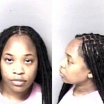 Gaston County Mugshots September 20th