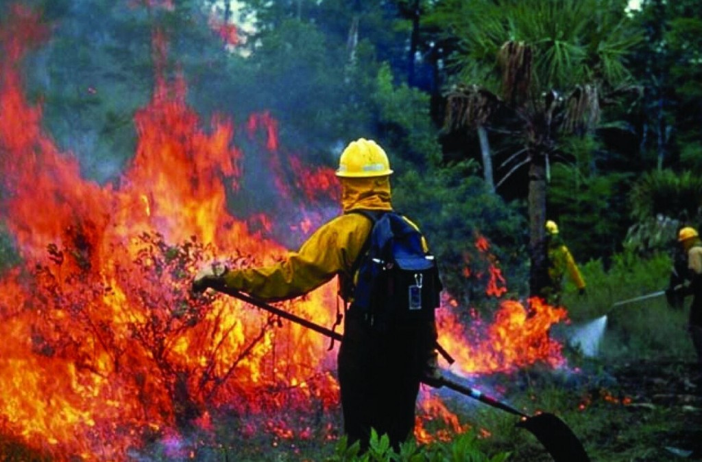 Blackouts And Fires: California’s Summer Attractions