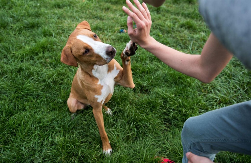 3 Ways Companies Could Offer More Father Friendly Policies That Will Help Women