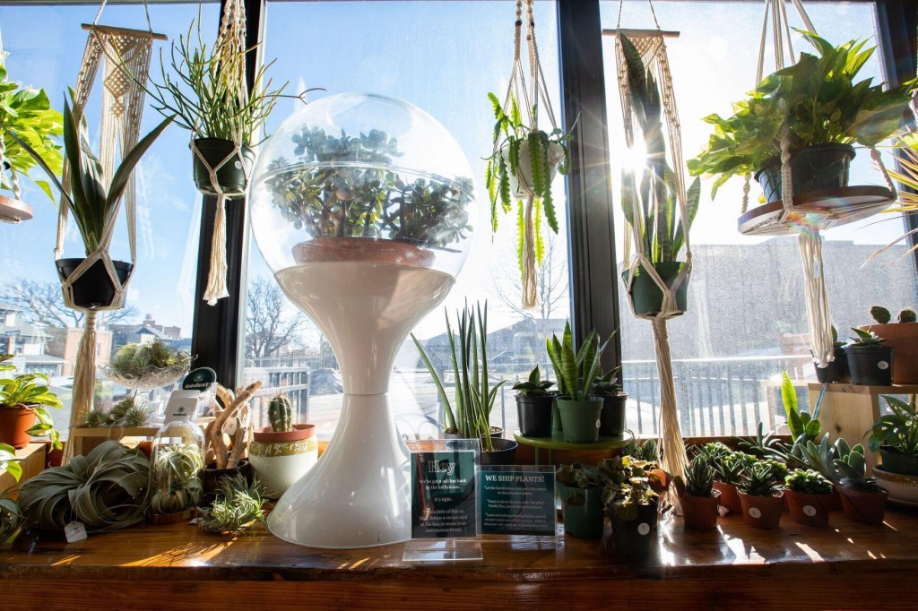 Westside Middle School Is ‘extremely Sorry’ For Displaying Hitler Quote