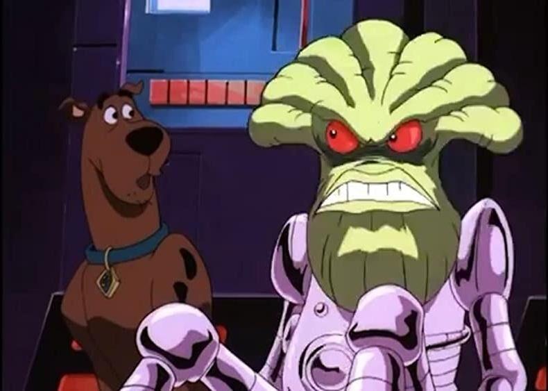 An 8 Year Old Border Collie Named Lulu Is Inheriting A $5 Million Trust