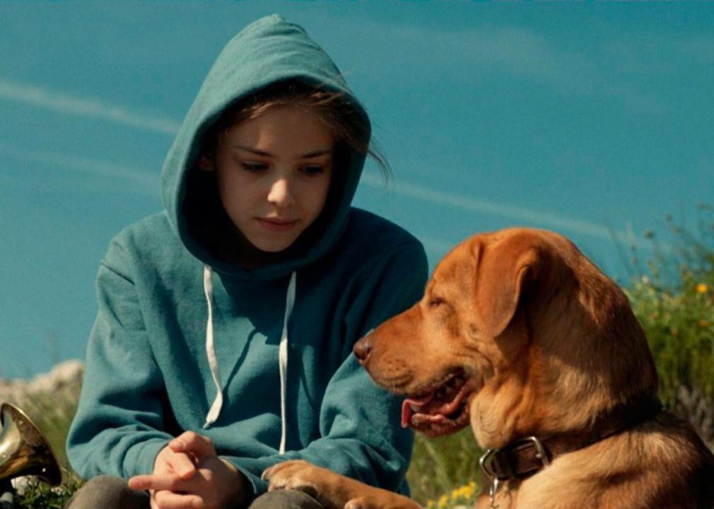 An 8 Year Old Border Collie Named Lulu Is Inheriting A $5 Million Trust