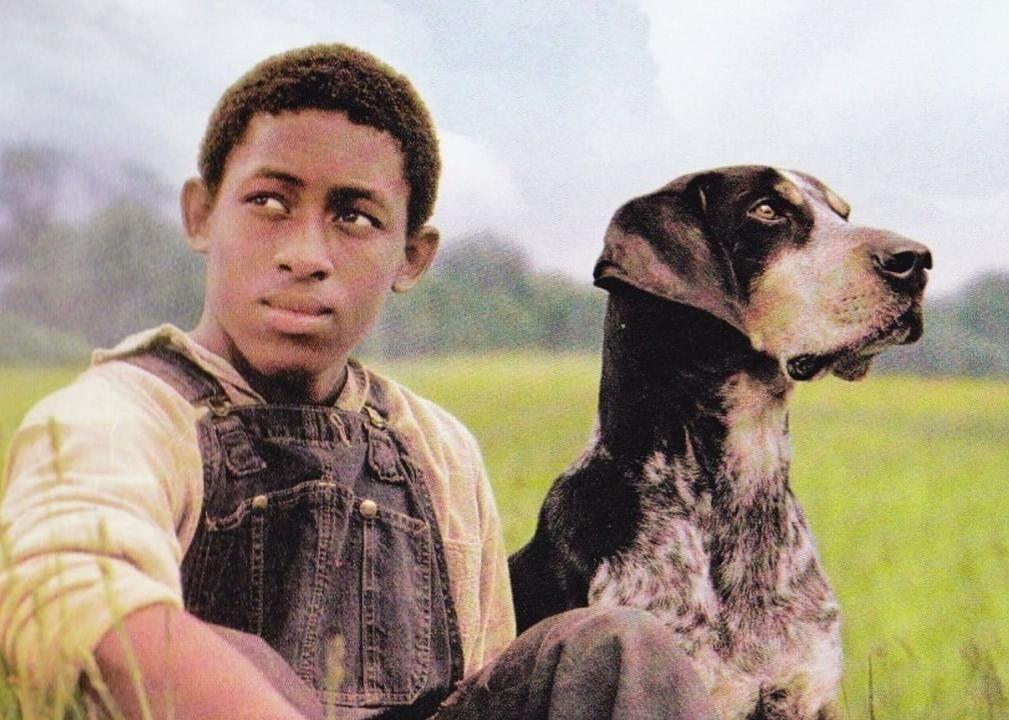 An 8 Year Old Border Collie Named Lulu Is Inheriting A $5 Million Trust