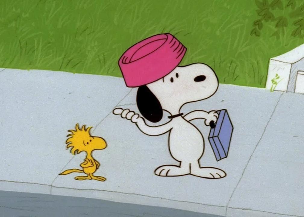 An 8 Year Old Border Collie Named Lulu Is Inheriting A $5 Million Trust