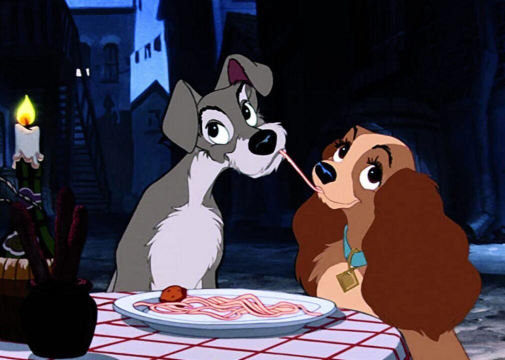 An 8 Year Old Border Collie Named Lulu Is Inheriting A $5 Million Trust