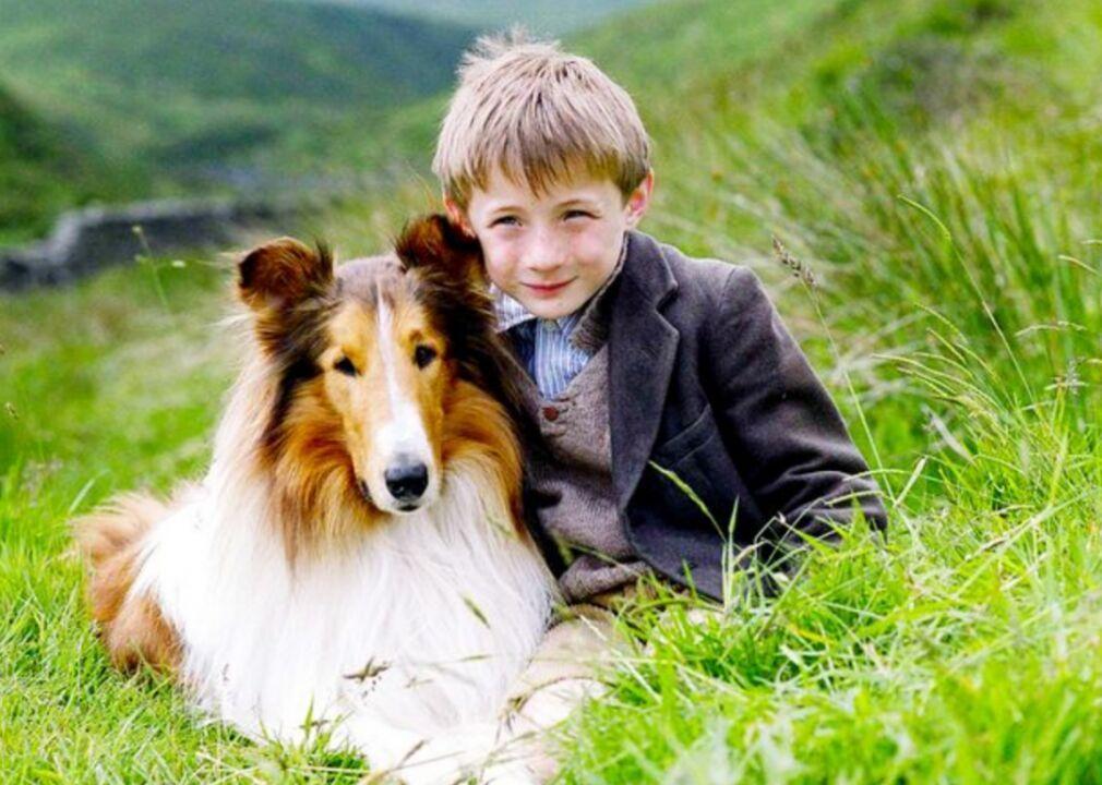 An 8 Year Old Border Collie Named Lulu Is Inheriting A $5 Million Trust