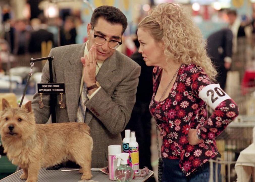 An 8 Year Old Border Collie Named Lulu Is Inheriting A $5 Million Trust