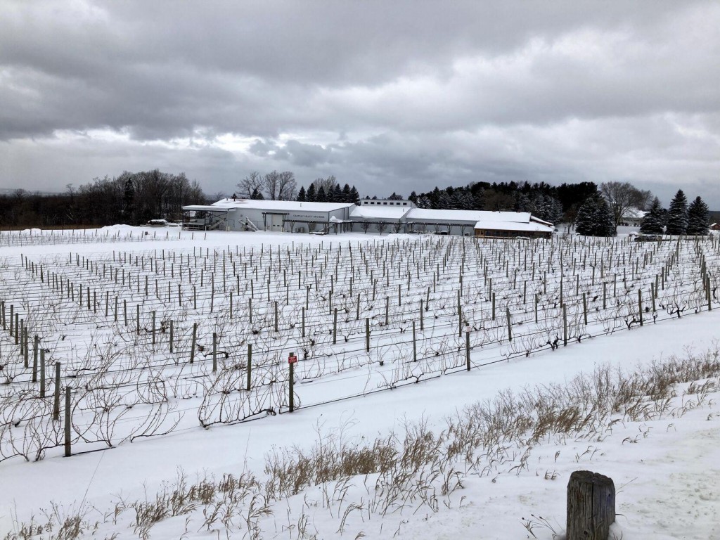 Gun Provocation Reveals Tensions In Michigan Tourist Haven