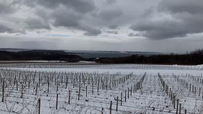 Gun Provocation Reveals Tensions In Michigan Tourist Haven