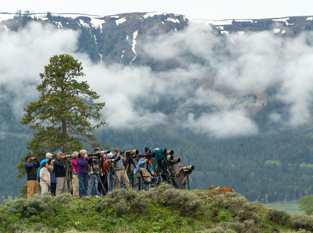 Lights, Camera, Action In The Wilderness: Yellowstone Filmmakers Weigh In On Judge’s Ruling Halting Fees For Commercial Filming