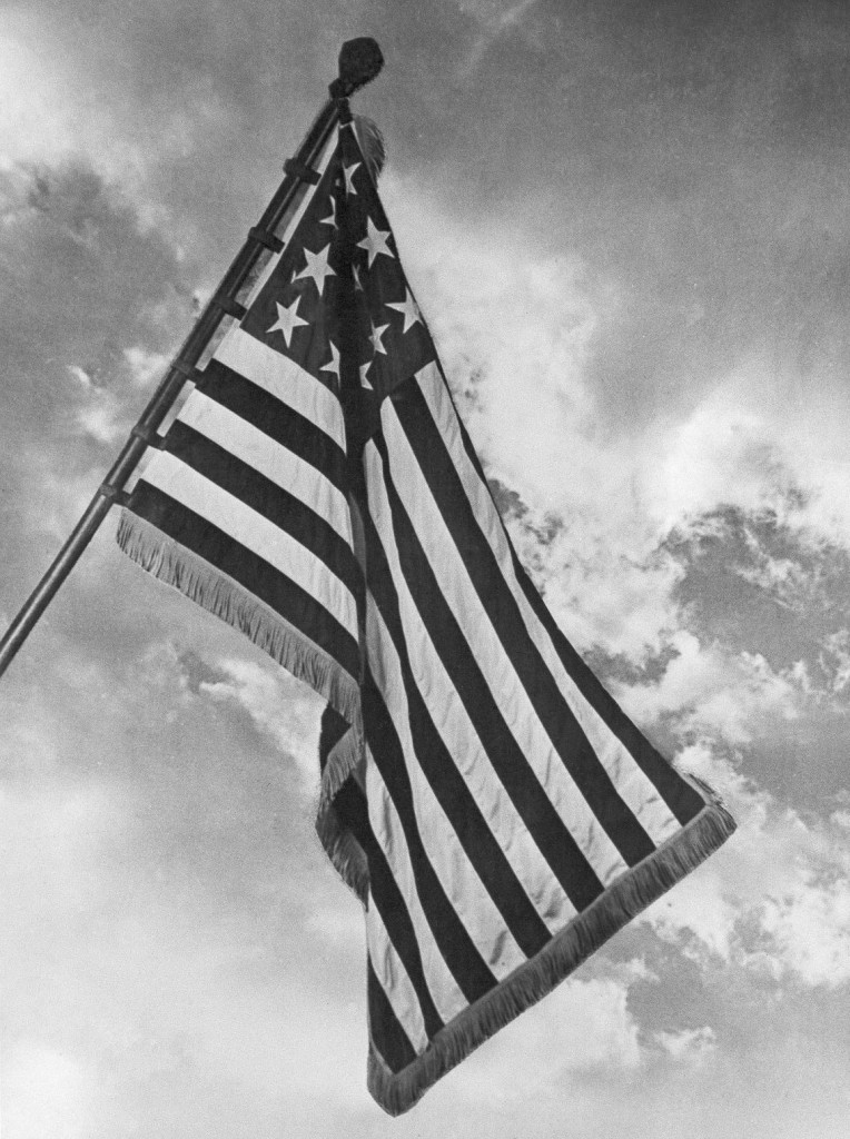 Splash Screen Icon 1