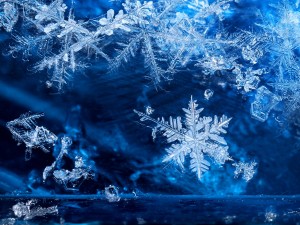 User submitted image