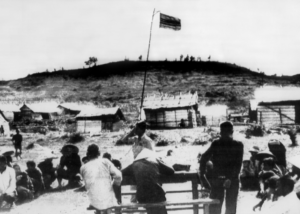 9 Killed In Army Black Hawk Helicopter Crash In Kentucky. Live Updates.