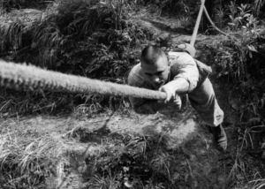 9 Killed In Army Black Hawk Helicopter Crash In Kentucky. Live Updates.