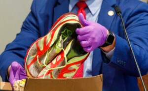 Alex Murdaugh Sentenced To Life In Prison For Murders Of Wife, Son