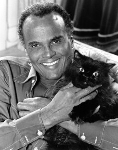 Harry Belafonte, Activist And Entertainer With A ‘rebel Heart,’ Dies At 96