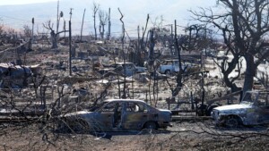 Maui Has Released The Names Of 388 People Still Missing After Deadly Wildfire. Here’s The Latest