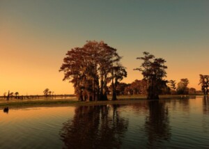 Nasa Releases Ufo Report, Says New Science Techniques Needed To Better Understand Them