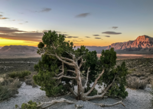 Nasa Releases Ufo Report, Says New Science Techniques Needed To Better Understand Them