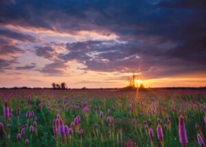 Nasa Releases Ufo Report, Says New Science Techniques Needed To Better Understand Them