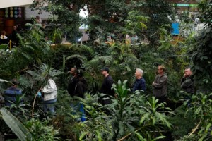 Trump Wins White House In Political Comeback Rooted In Appeals To Frustrated Voters