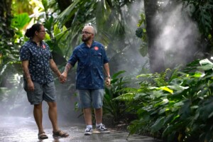 Trump Signs Executive Order To Bar Transgender Athletes From Girls’, Women’s Sports