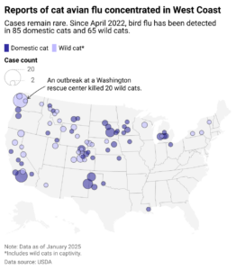 Authorities: Armed Man Shot By Secret Service Near White House While Trump Out Of Town