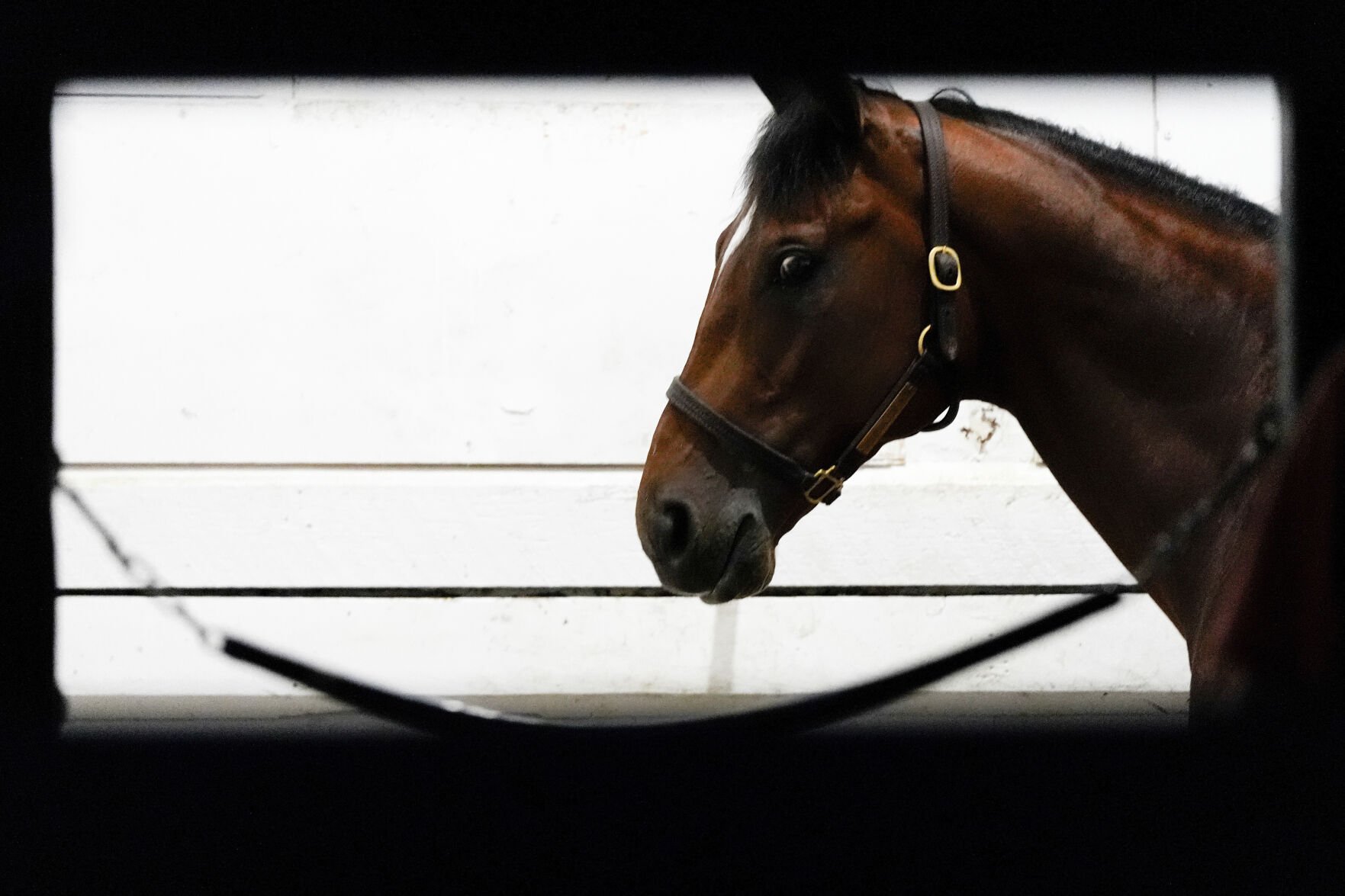 <p>Journalism won the Preakness Stakes Saturday at Pimlico Race Course in Baltimore, surging to claim the second jewel of the Triple Crown.</p>