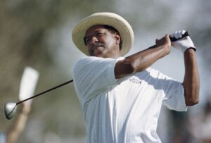 Hulk Hogan, Icon In Professional Wrestling, Dies At Age 71