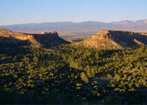 Supreme Court Allows Texas To Use A Congressional Map Favorable To Republicans In 2026