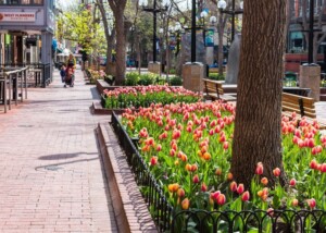 Trump Signs Bill To End Partial Government Shutdown, Setting Stage For Next Fight
