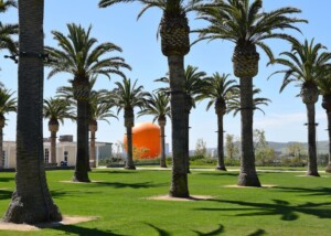 Trump Signs Bill To End Partial Government Shutdown, Setting Stage For Next Fight