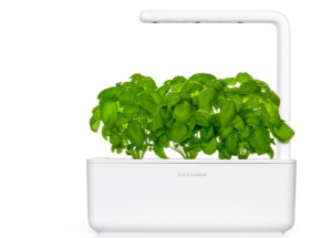 This Is The Easiest Way To Grow An Indoor Herb Garden