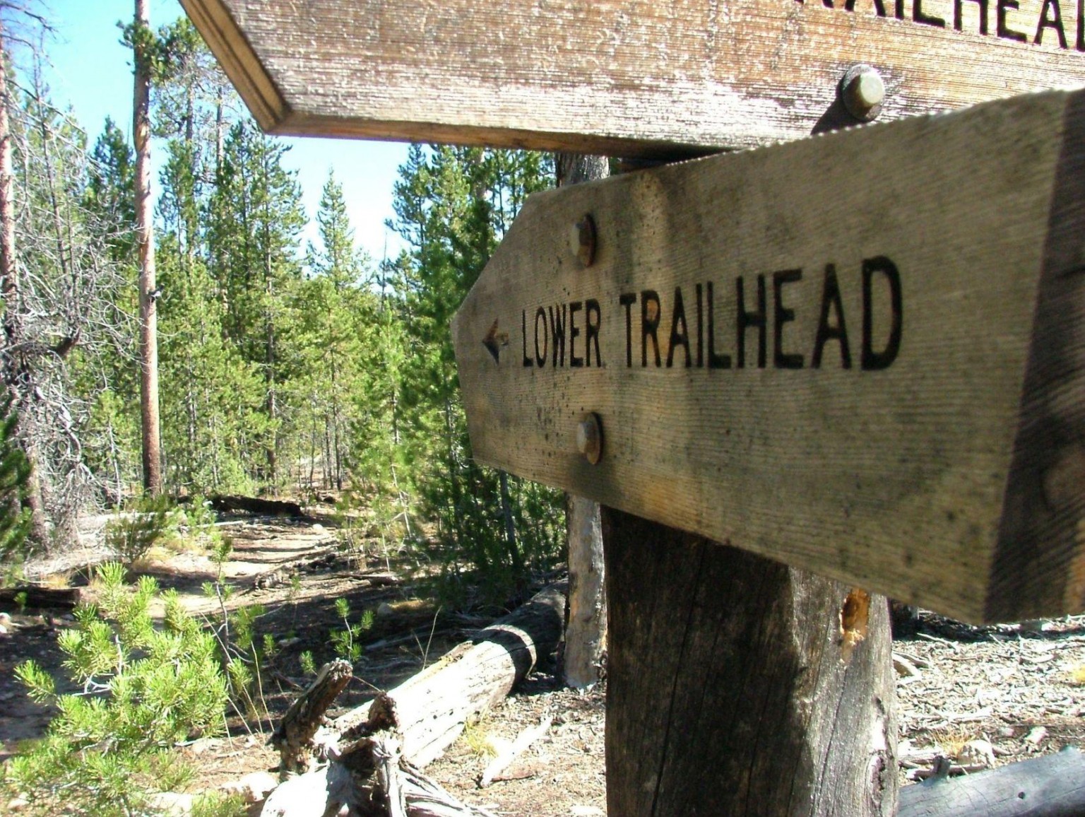 Tips For Mountain Biking During Pandemic