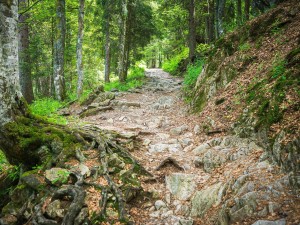 Tips For Mountain Biking During Pandemic