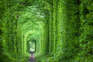 The Tunnel Of Love Ukraine