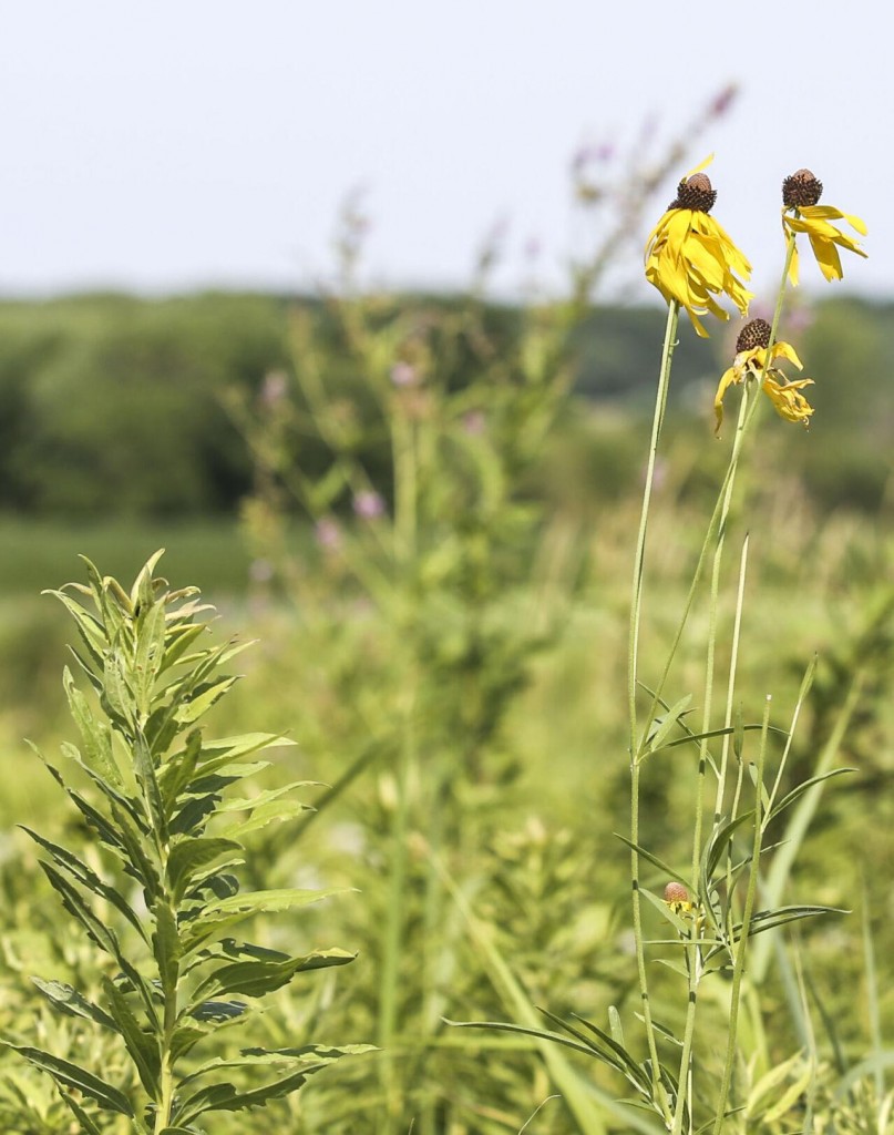 Ways To Feel Better In Trying Times