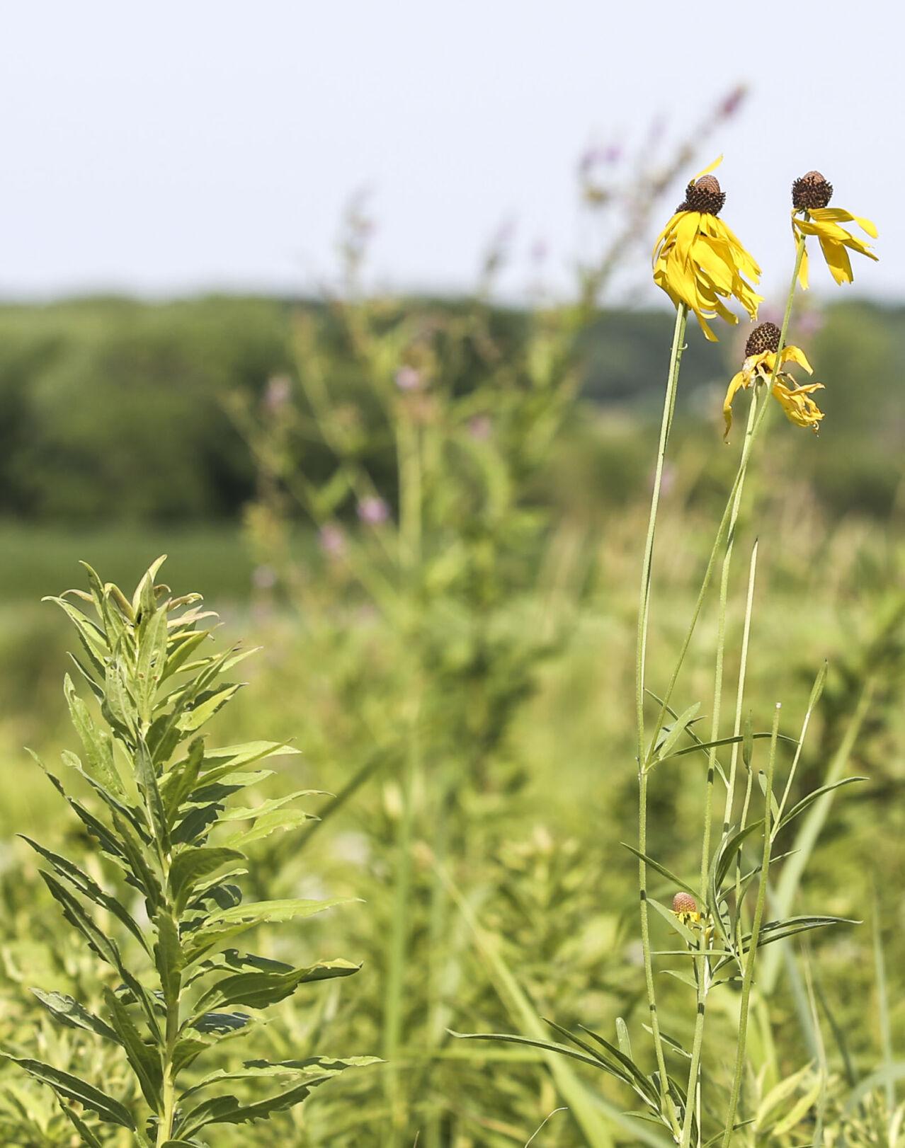 Ways To Feel Better In Trying Times
