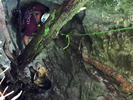 Dog Trapped In 30 Foot Hole Lured To Safety With Beef Jerky