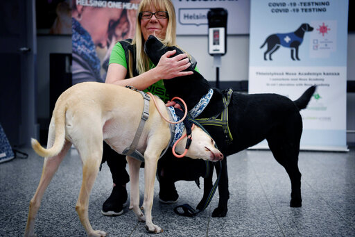 Finland Deploys Coronavirus Sniffing Dogs At Main Airport