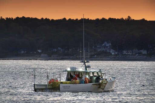 Maine Lobster Business Salvaged Its Summer Despite Pandemic