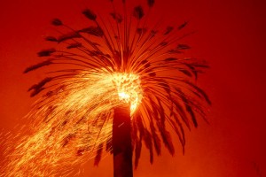 New California Fire Scorches Wine Country Near San Francisco