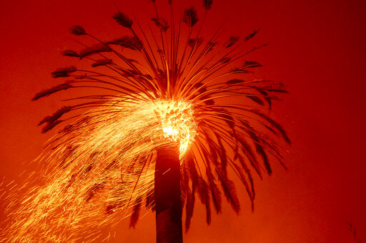 New California Fire Scorches Wine Country Near San Francisco