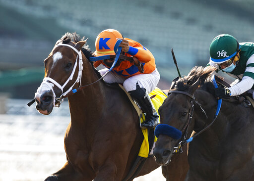 House Approves Bill To Combat Doping In Horse Racing