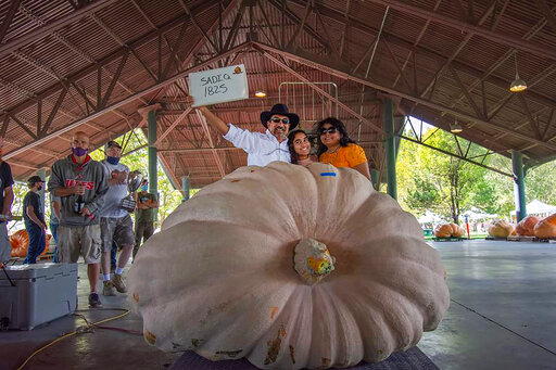 Giant Pumpkins Smash Utah State Record At Weigh Off In Lehi