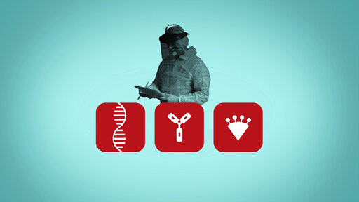 What Are The Different Types Of Coronavirus Tests?