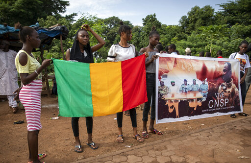 West African Leaders Urge Civilian Rule In Mali Within Days