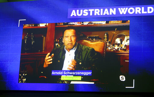 Schwarzenegger: Use Stimulus Funds To Invest In Clean Energy